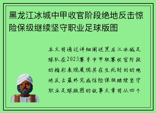 黑龙江冰城中甲收官阶段绝地反击惊险保级继续坚守职业足球版图 黑龙江冰城中甲收官阶段绝地反击惊险保级继续坚守职业足球版图